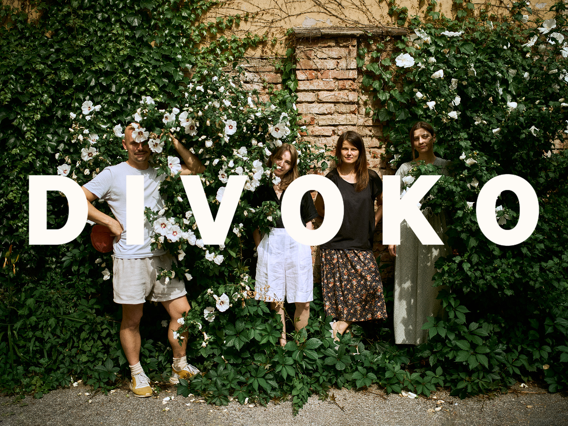 Studio Divoko